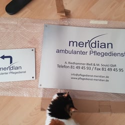 Praxisschilder und Katze