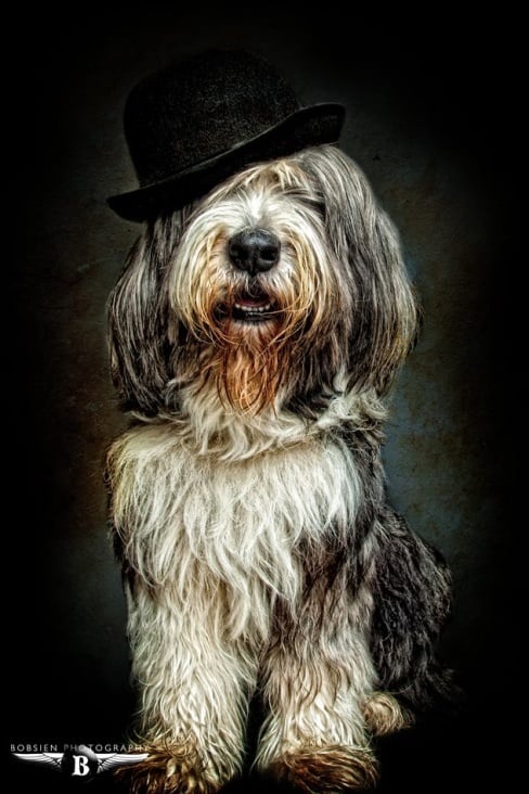 PORTRAIT