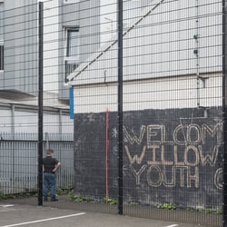 Willow Youth 03