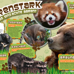 Doppelseiten-Gestaltung für das Magazin „Tierisch Süß“
