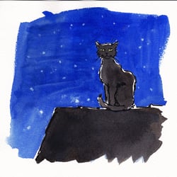 Kater: Der Herr der Dächer