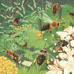 Begleitheft „Botanischer Garten“ – Coverillustration