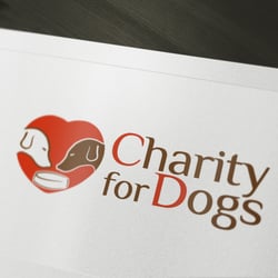 Charity for dogs