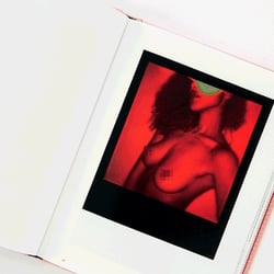 Slanted-Publishers-INSTANT-NUDES 13