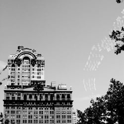 New York 11
