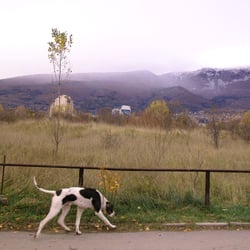 003-010 Sofia 026