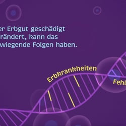 Erklärfilm zu künstlicher Befruchtung
