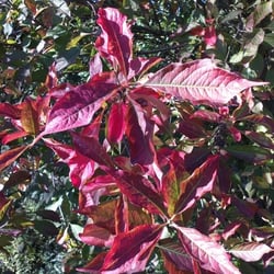 Herbst…Oktober 2012 Teil 02