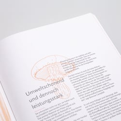 Detail Illustration und Text
