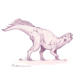 Psittacosaurus