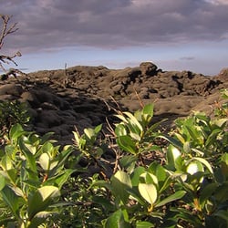 Rauðabergshraun
