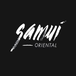 Samoui //Logo – Freelance and Motion Design Project