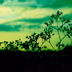 Landschaft