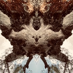 Spiegelbild