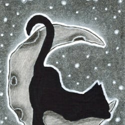 Sleeping in the Moon
