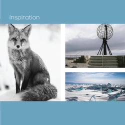 Polar fox symbol