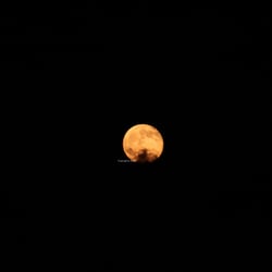 Moon Mai 2014 © by Dina.T