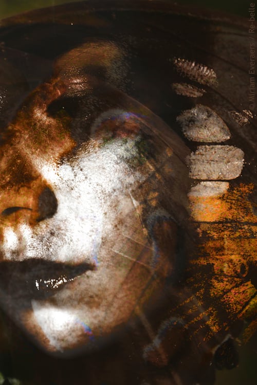Aus der Reihe „psychodelic butterfly portraits“