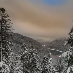 Blick zur Talsperre Kleine Kinzig