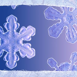 Snow 19