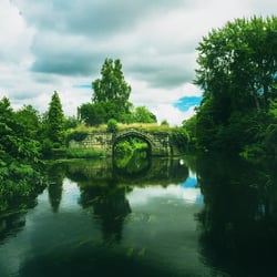 Warwick