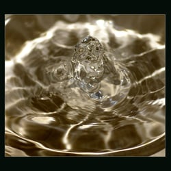 Ohne Titel