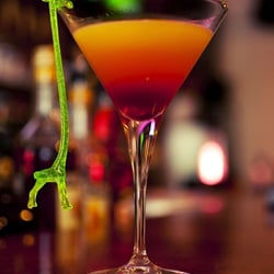 Fotoauftrag Bar „Giraffe“