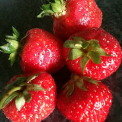 Food Fotografie 2012