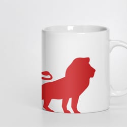 15 borussia düsseldorf fanartikel tasse