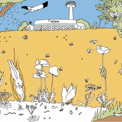 EcoWatch