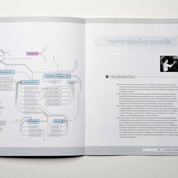 Nexus Neuronia – Modulare Publikation zur Neurowissenschaft – Neuroinformatik