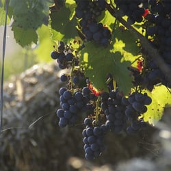 Herbst September 2013 106