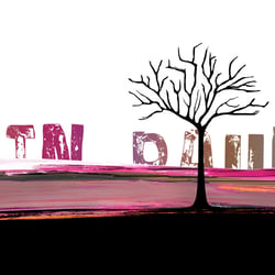 1-Baum no2
