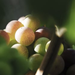 Herbst September 2013 058
