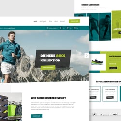 Corporate Website
