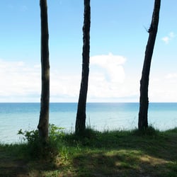 DSC 8000