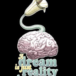 Dream