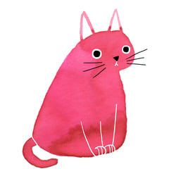 Katze