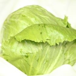 Eisbergsalat Nov. 2012