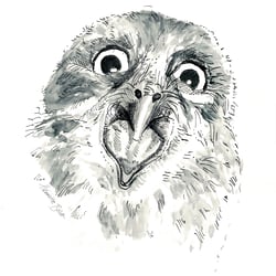 Eagleowl