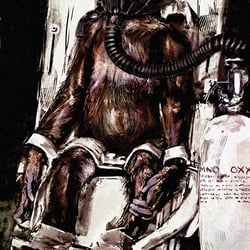 benrennen-com-gorilla-016