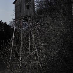 No4 hsitz