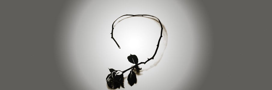 Rosey Collier black