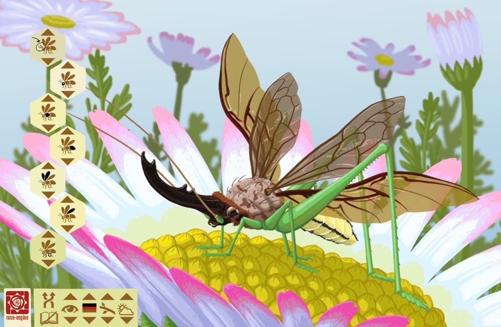 Insect Builder