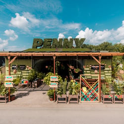 Penny | The Green Hangout | Konzept, Design, Umsetzung