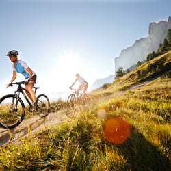 Sport Scheck