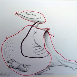 Stolzer Vogel
