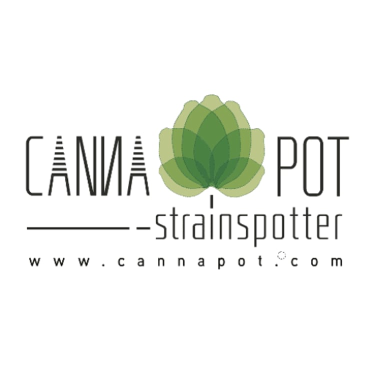 Canna Pot