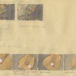 Storyboard