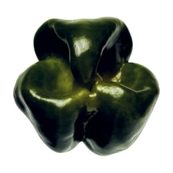 PEPPER * Havanero Green